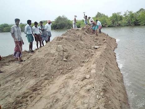 சிதம்பரம் அருகே கடல்நீர் உட்புகுந்து 6 ஆயிரம் ஏக்கர் விளை நிலங்கள் பாதிப்பு!